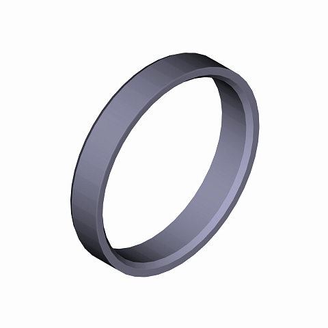 КОЛЬЦО САЛЬНИКА